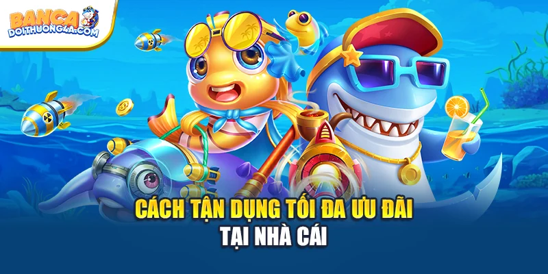 Cách tận dụng tối đa ưu đãi tại nhà cái
