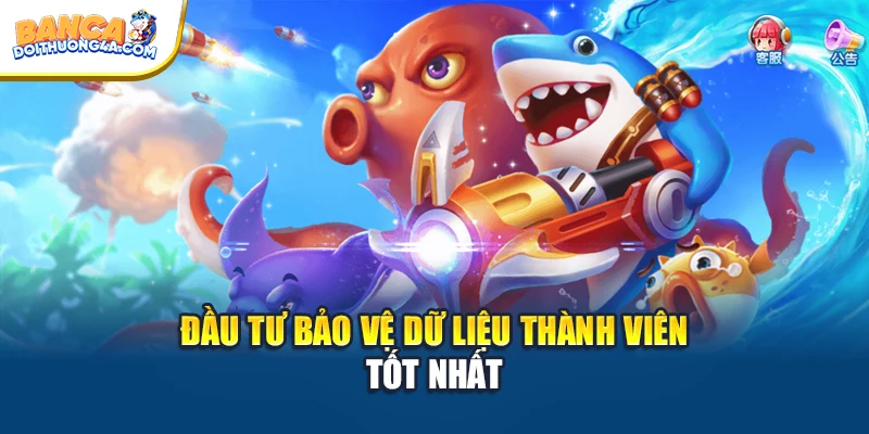 Đầu tư bảo vệ dữ liệu thành viên tốt nhất