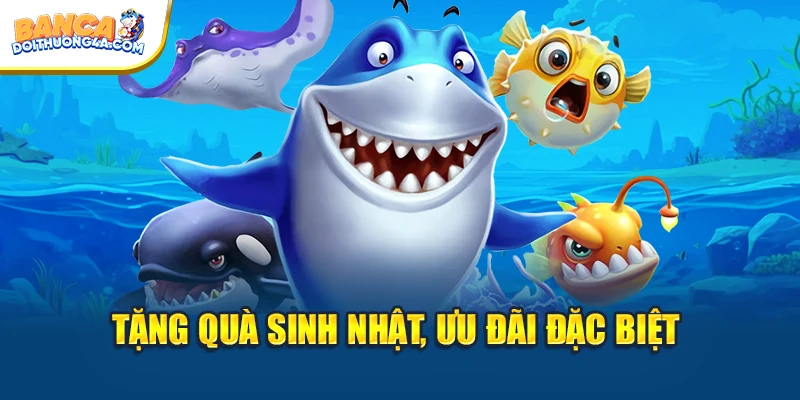 Tặng quà sinh nhật, ưu đãi độc quyền khác