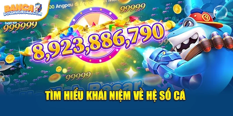 Tìm hiểu khái niệm về hệ số cá