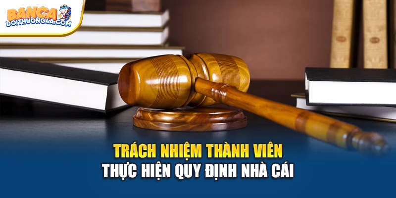 Trách nhiệm thành viên thực hiện quy định nhà cái